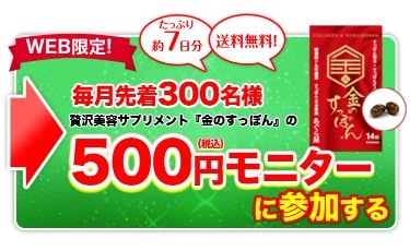 金のすっぽん500円モニターの内容