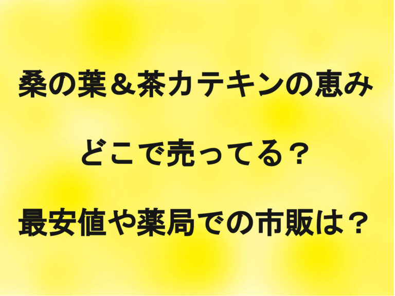 桑の葉＆茶カテキンの恵みはどこで売ってる？最安値や薬局での市販は？