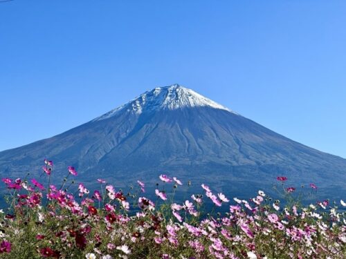 富士山の待ち受けを選ぶ際のポイント