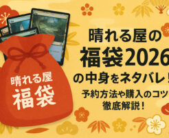 晴れる屋の福袋2026の中身をネタバレ！予約方法や購入のコツを徹底解説！