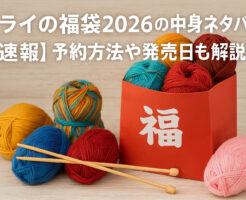 テライの福袋2026の中身ネタバレ!【速報】予約方法や発売日も解説!