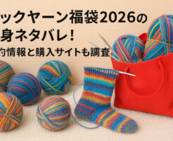 ソックヤーン福袋2026の中身ネタバレ!