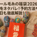 <span class="title">オパール毛糸の福袋2026の中身をネタバレ！予約方法や発売日も徹底解説！</span>